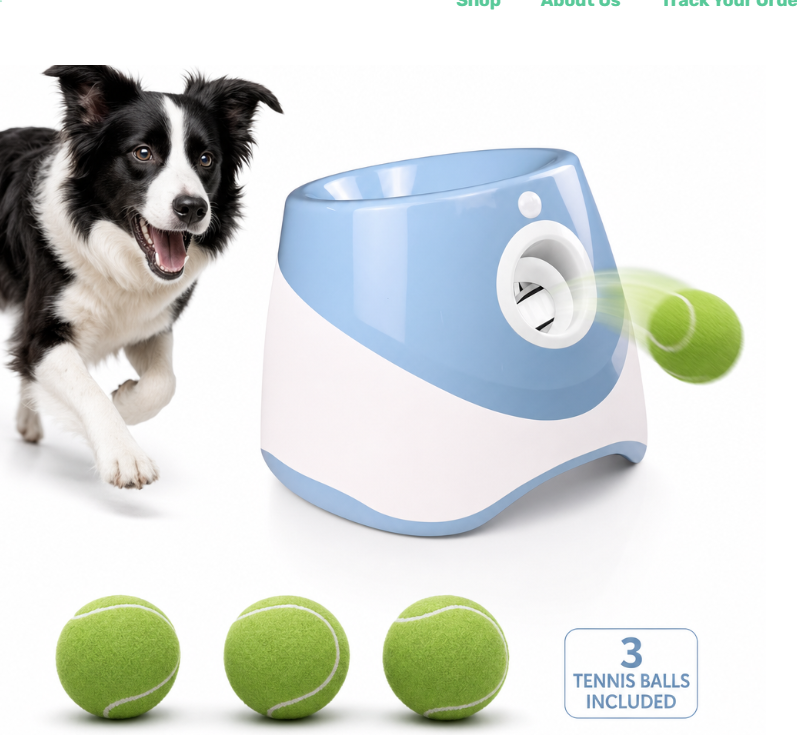 Automatic Hands-Free Ball Launcher